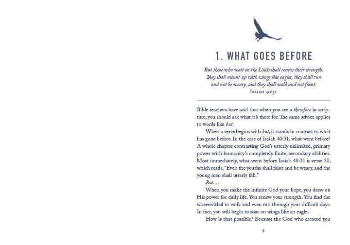 Soar Like Eagles : Devotions for Men - With Purpose Boutique
