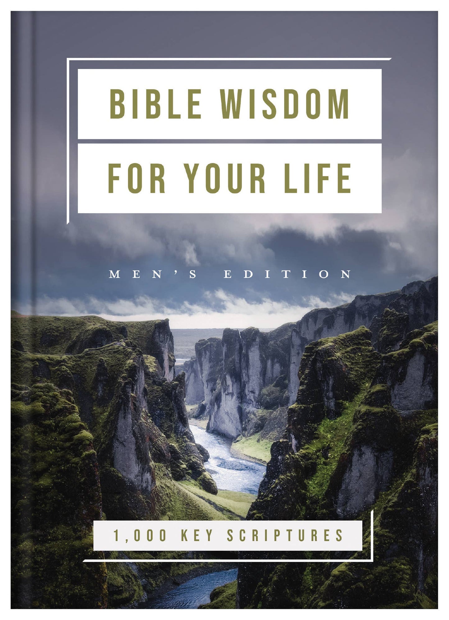 Bible Wisdom for Your Life: Men's Edition - With Purpose Boutique