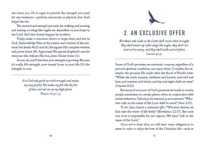 Soar Like Eagles : Devotions for Men - With Purpose Boutique
