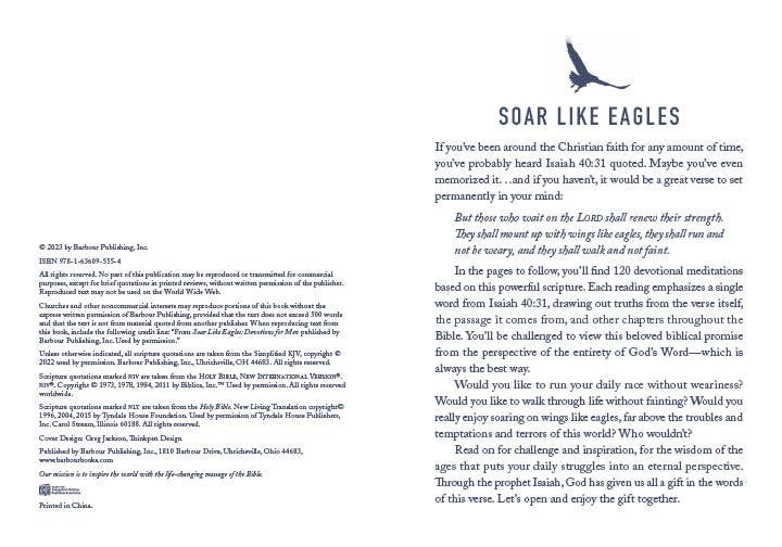 Soar Like Eagles : Devotions for Men - With Purpose Boutique