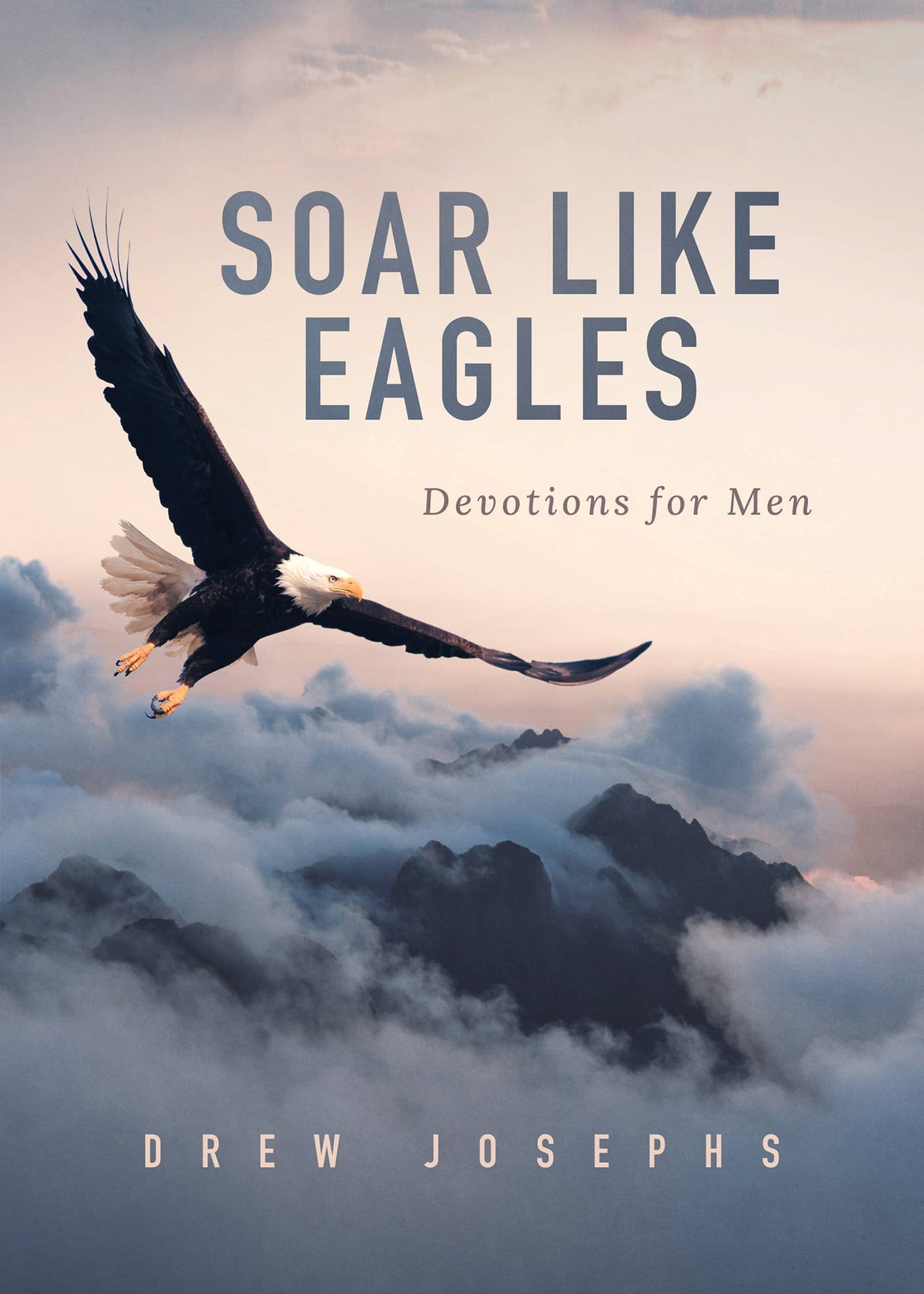 Soar Like Eagles : Devotions for Men - With Purpose Boutique