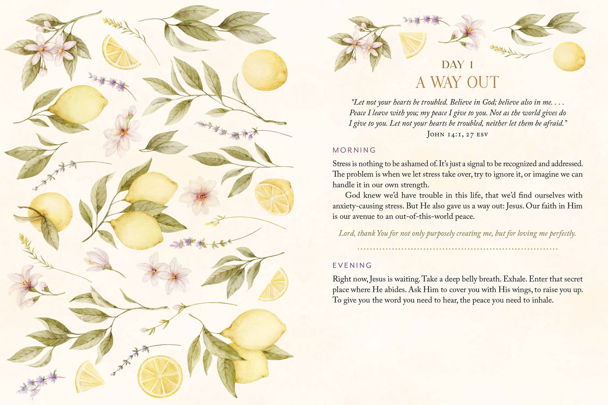 Page from a book with lemon illustrations and text on a white background