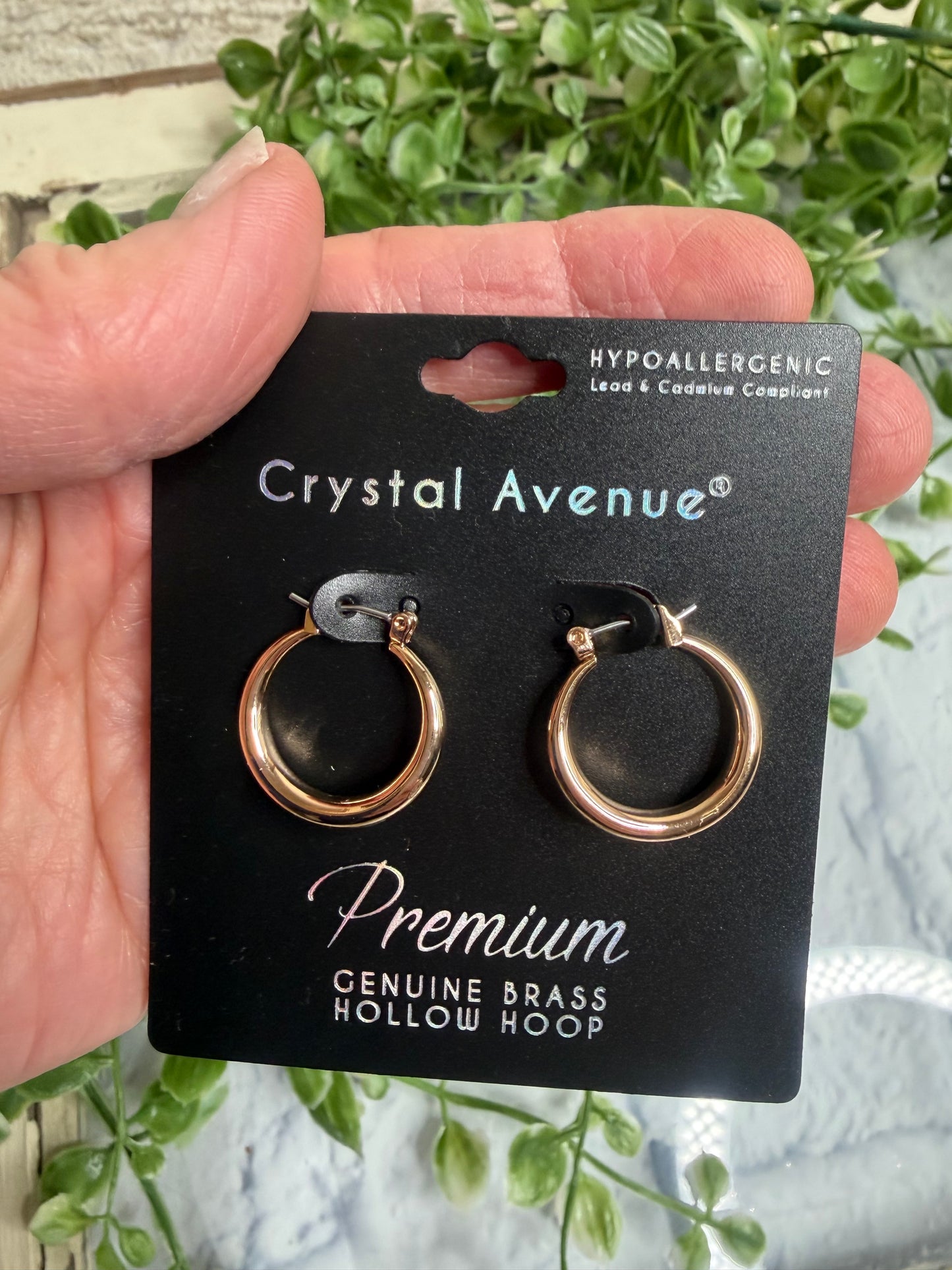 Gold hoop earrings on a Crystal Avenue card held by a hand with a green plant background