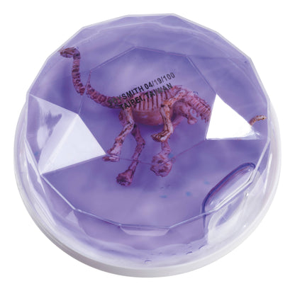 Dinosaur Fossil Putty