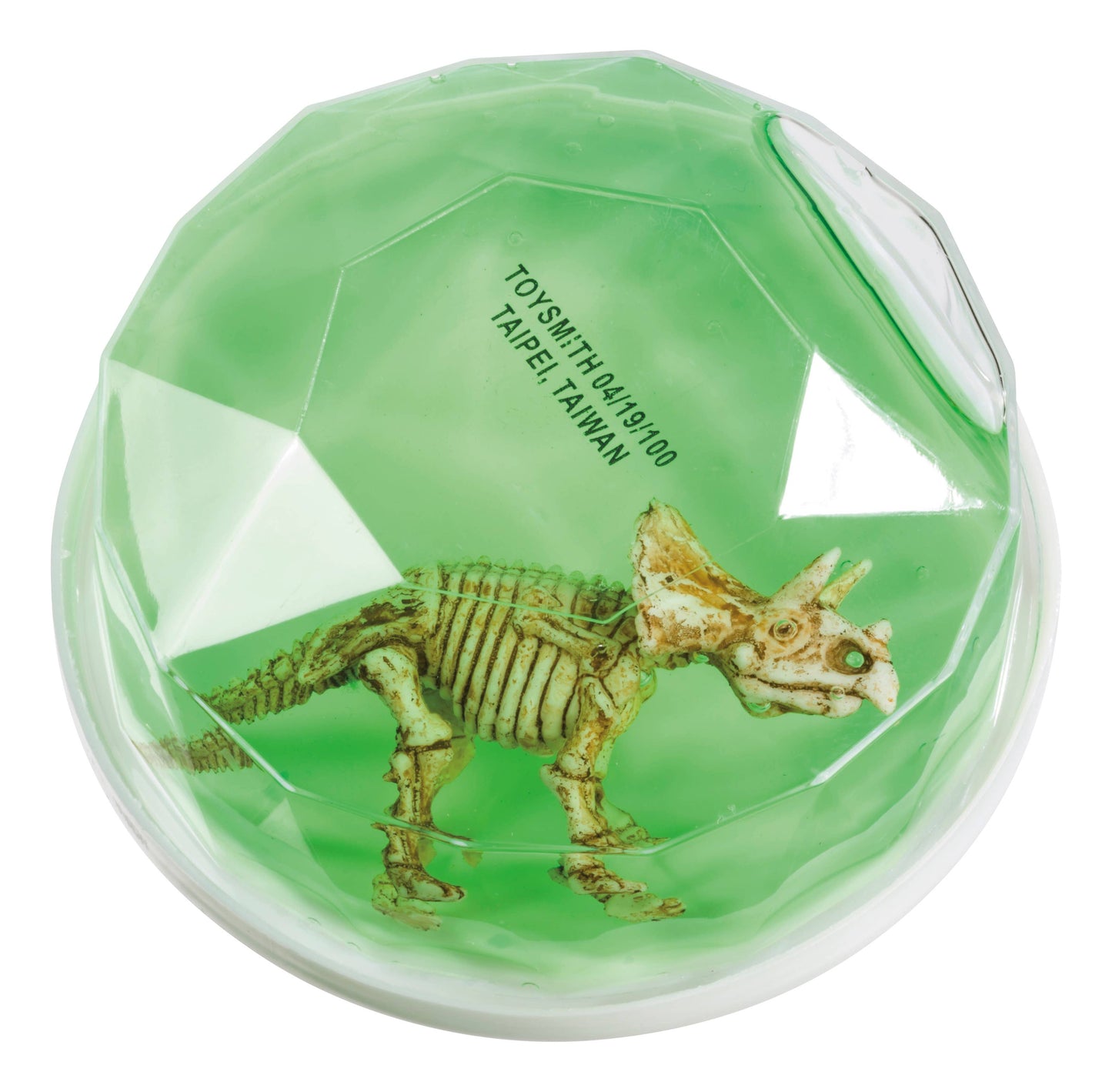 Dinosaur Fossil Putty