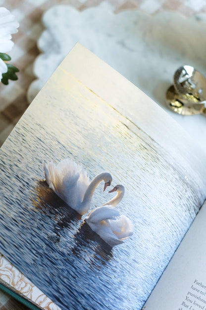 Filled with Hope Devotions and Prayers