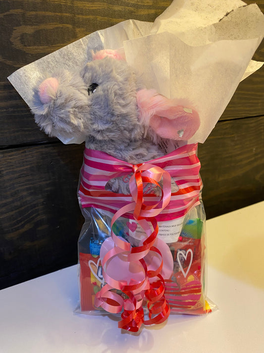 small goodies bag with stuffed animal