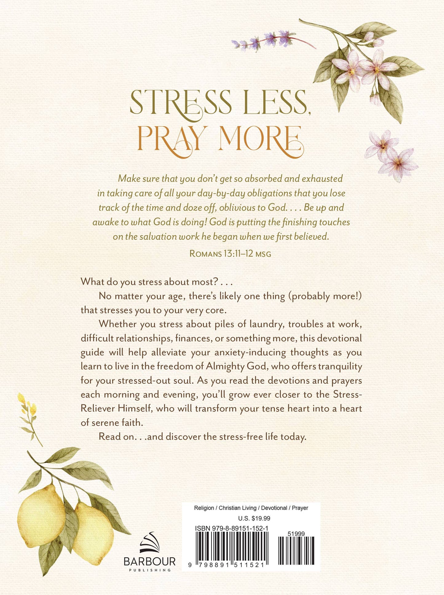 Back cover of a book with motivational text and decorative elements on a white background