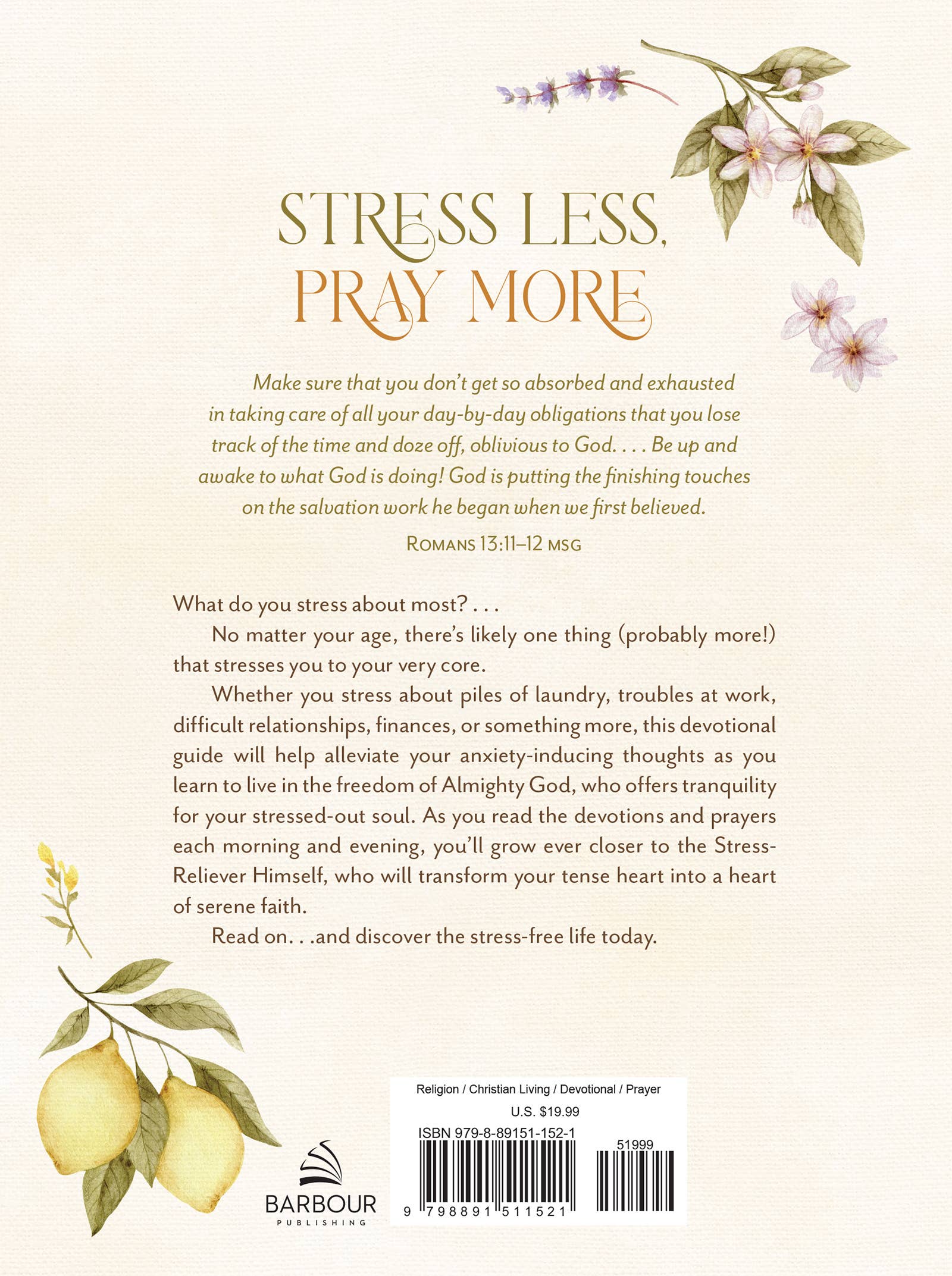 Back cover of a book with motivational text and decorative elements on a white background