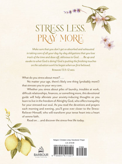 Back cover of a book with motivational text and decorative elements on a white background