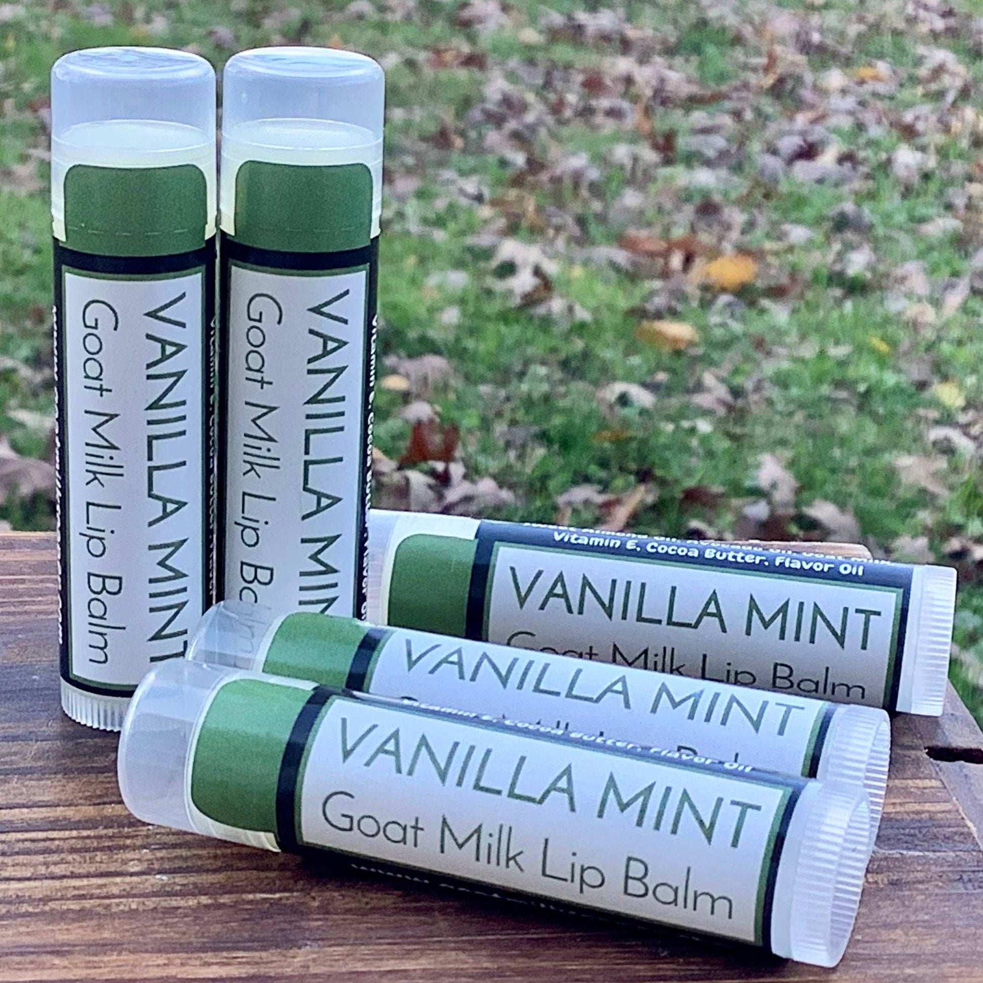 Vanilla Mint Goat Milk Lip Balm - With Purpose Boutique